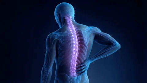 lumbar calidad