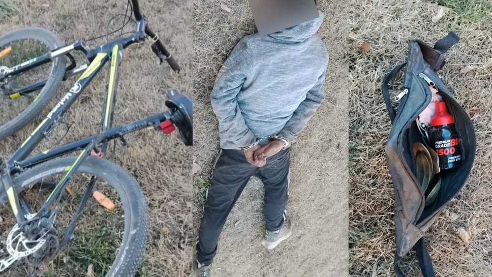 robp cipo